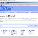 NetSurf